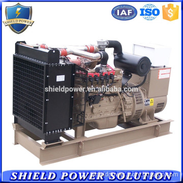 70KVA CNG Generator Set With ISO Certificate Factory Natural Gas/Biogas Generator